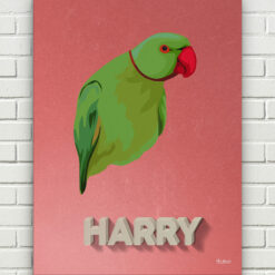 retro pet portrait illustrations bird decking front view white bricks