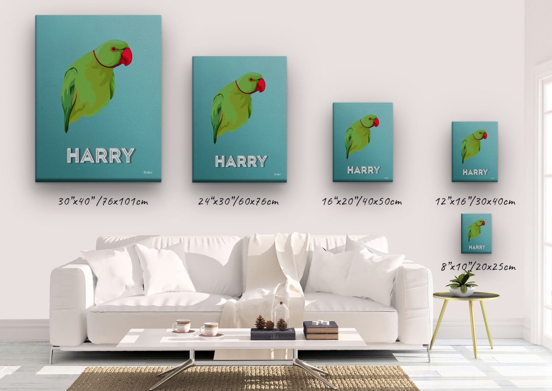 Custom Mid Century Retro Style Bird Portrait - Pet illustration from photo - Mint Art Deco Canvas 23 retro pet portrait illustrations bird mint art deco canvas size comparison