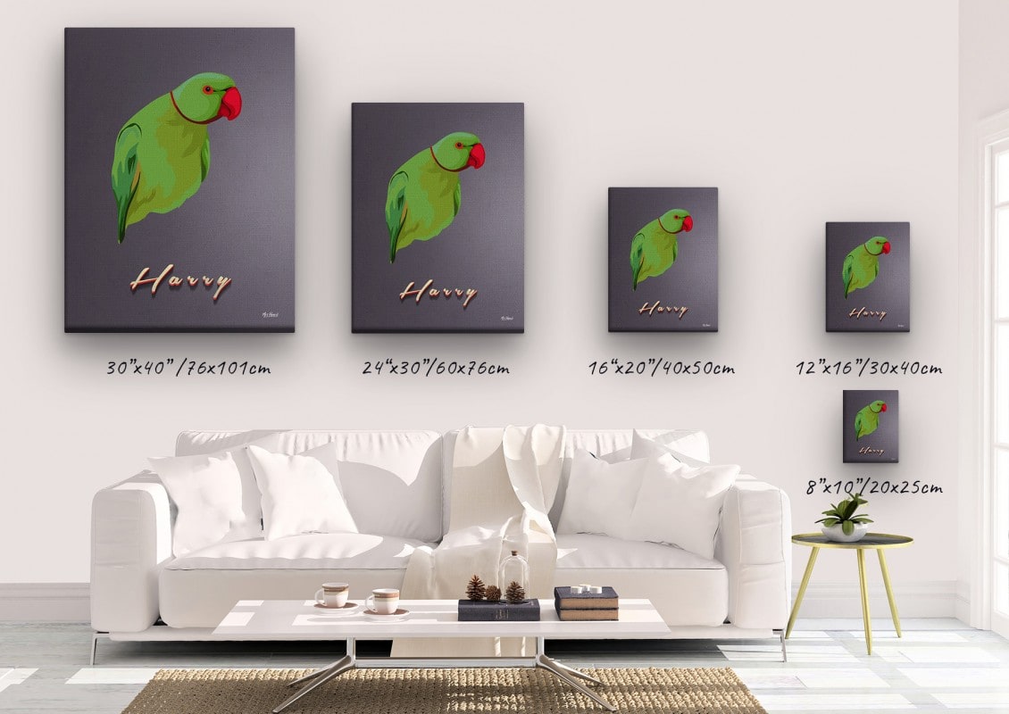retro pet portrait illustrations bird night script canvas size comparison