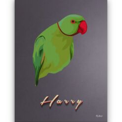 retro pet portrait illustrations bird night script front view white