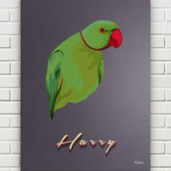 retro pet portrait illustrations bird night script front view white bricks