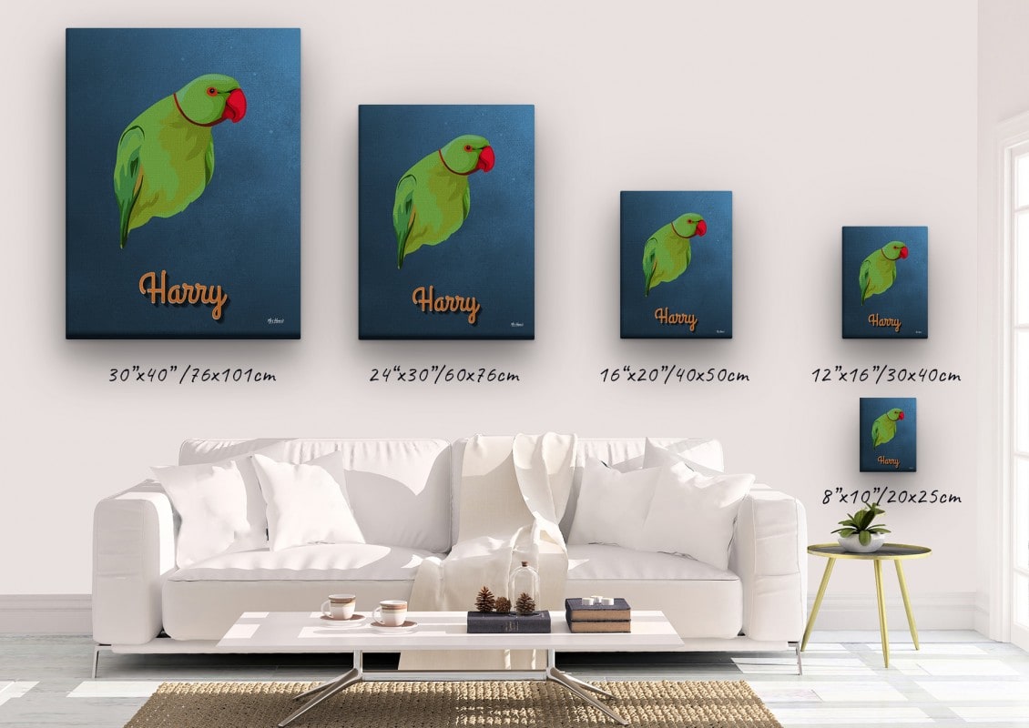 retro pet portrait illustrations bird rustic blue canvas size comparison