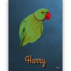 retro pet portrait illustrations bird rustic blue front view white