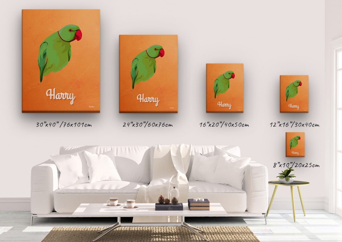 Custom Mid Century Retro Style Bird Portrait - Pet illustration from photo - Sand And Stone Canvas 23 retro pet portrait illustrations bird sand and stone canvas size comparison