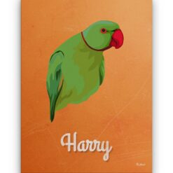 Custom Mid Century Retro Style Bird Portrait - Pet illustration from photo - Sand And Stone Canvas 18 retro pet portrait illustrations bird sand and stone front view white