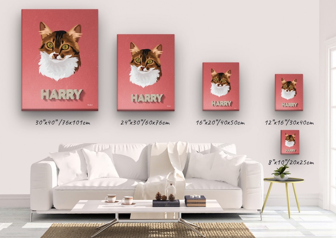 retro pet portrait illustrations cat decking canvas size comparison