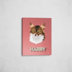 retro pet portrait illustrations cat decking front view angled wall