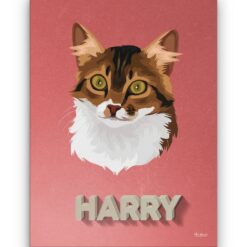 retro pet portrait illustrations cat decking front view white