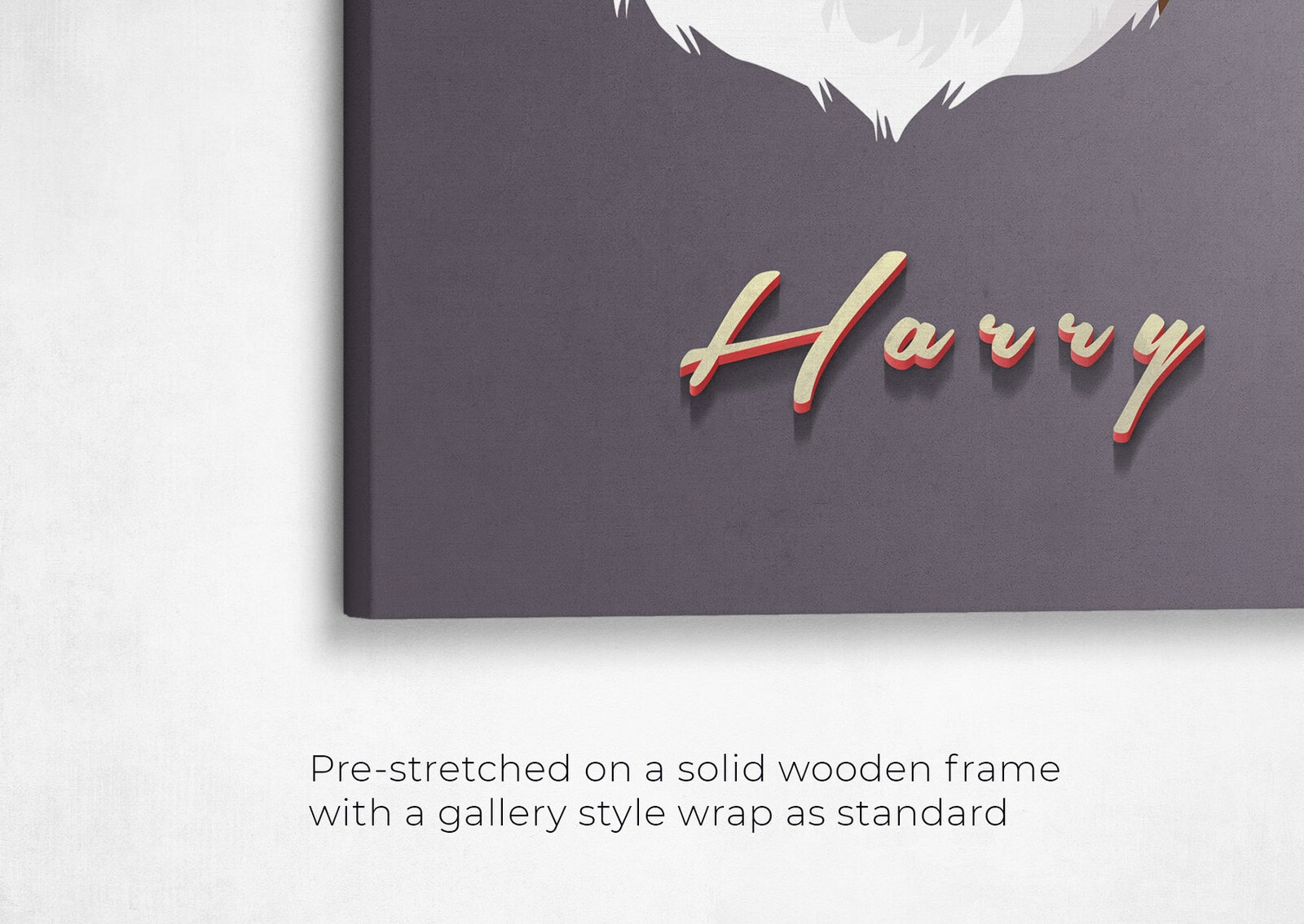 Custom Mid Century Retro Style Cat Portrait - Pet illustration from photo - Night Script Canvas 20 retro pet portrait illustrations cat night script front view angled close up wall