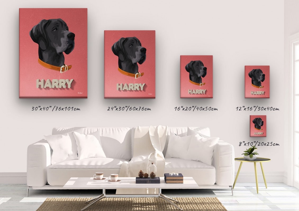 retro pet portrait illustrations dog decking canvas size comparison