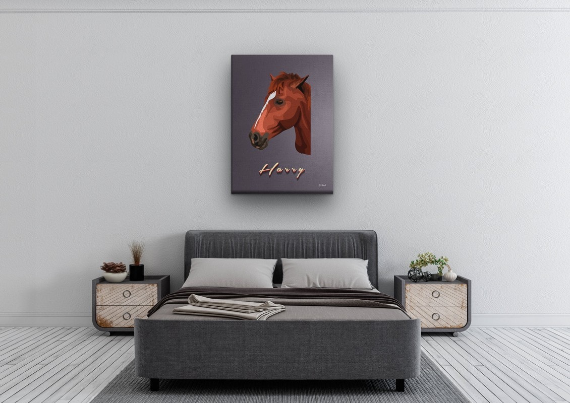 retro pet portrait illustrations horse night script bedroom
