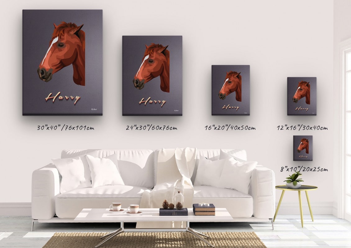 retro pet portrait illustrations horse night script canvas size comparison 1