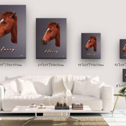 retro pet portrait illustrations horse night script canvas size comparison