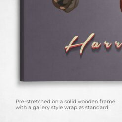 retro pet portrait illustrations horse night script front view angled close up wall