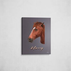 retro pet portrait illustrations horse night script front view angled wall