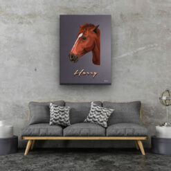 retro pet portrait illustrations horse night script living room