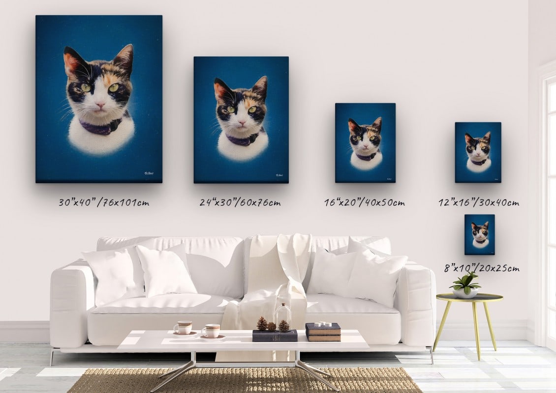 classic pet portraits cat dark blue studio painting canvas size comparison