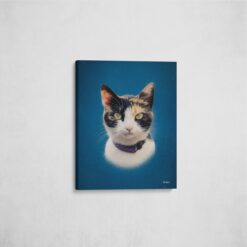 classic pet portraits cat dark blue studio painting front view angled wall