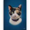 Classic Custom Cat Portrait - Dark Blue pet portrait on canvas from photo 1 classic pet portraits cat dark blue studio painting front view white