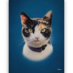 Classic Custom Cat Portrait -  Dark Blue pet portrait on canvas from photo