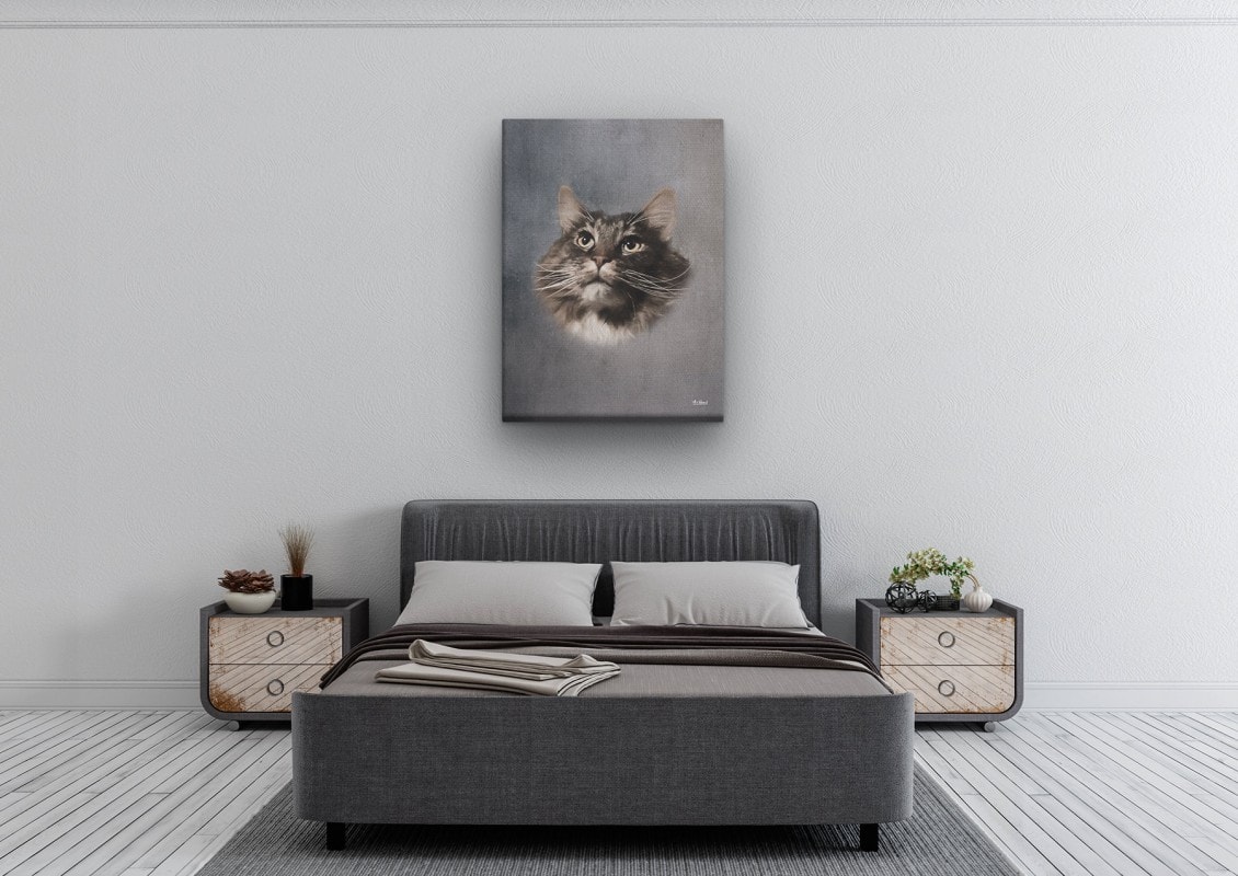 classic pet portraits cat grey studio painting bedroom
