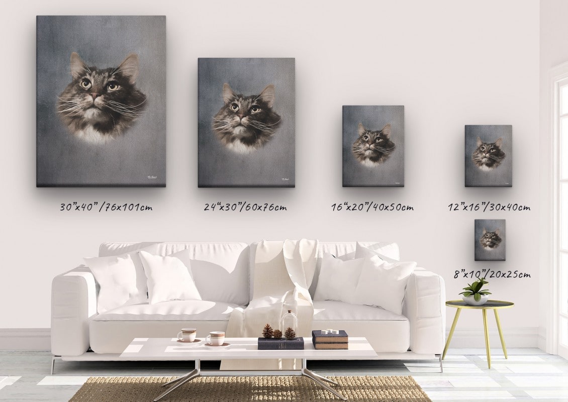 classic pet portraits cat grey studio painting canvas size comparison