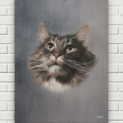classic pet portraits cat grey studio painting front view white bricks