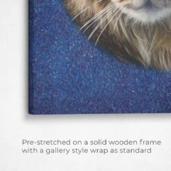 Classic Custom Cat Portrait - Night Sky pet portrait on canvas from photo 19 classic pet portraits cat night sky studio painting front view angled close up wall