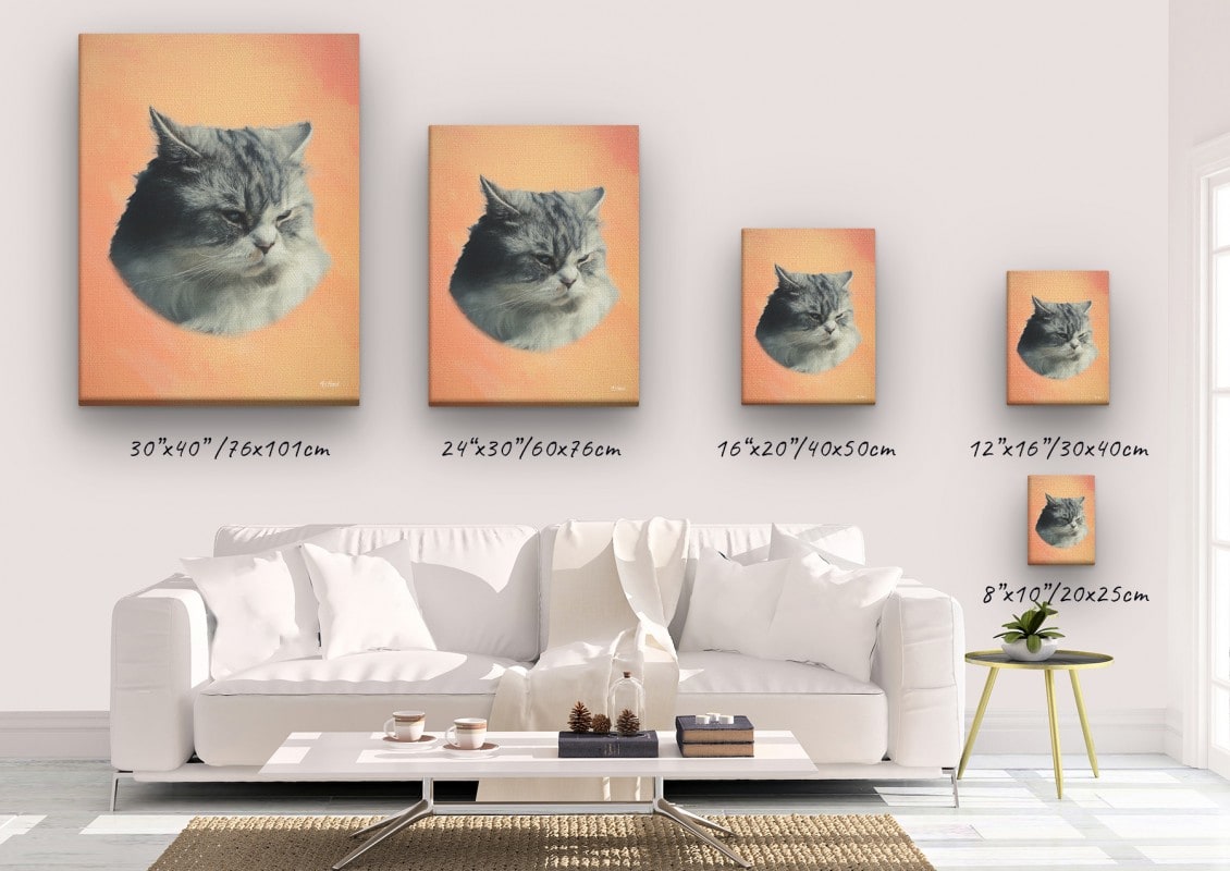 Classic Custom Cat Portrait - Peach pet portrait on canvas from photo 23 classic pet portraits cat peach studio painting canvas size comparison
