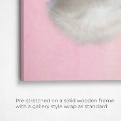 Classic Custom Cat Portrait - Pink pet portrait on canvas from photo 19 classic pet portraits cat pink studio painting front view angled close up wall