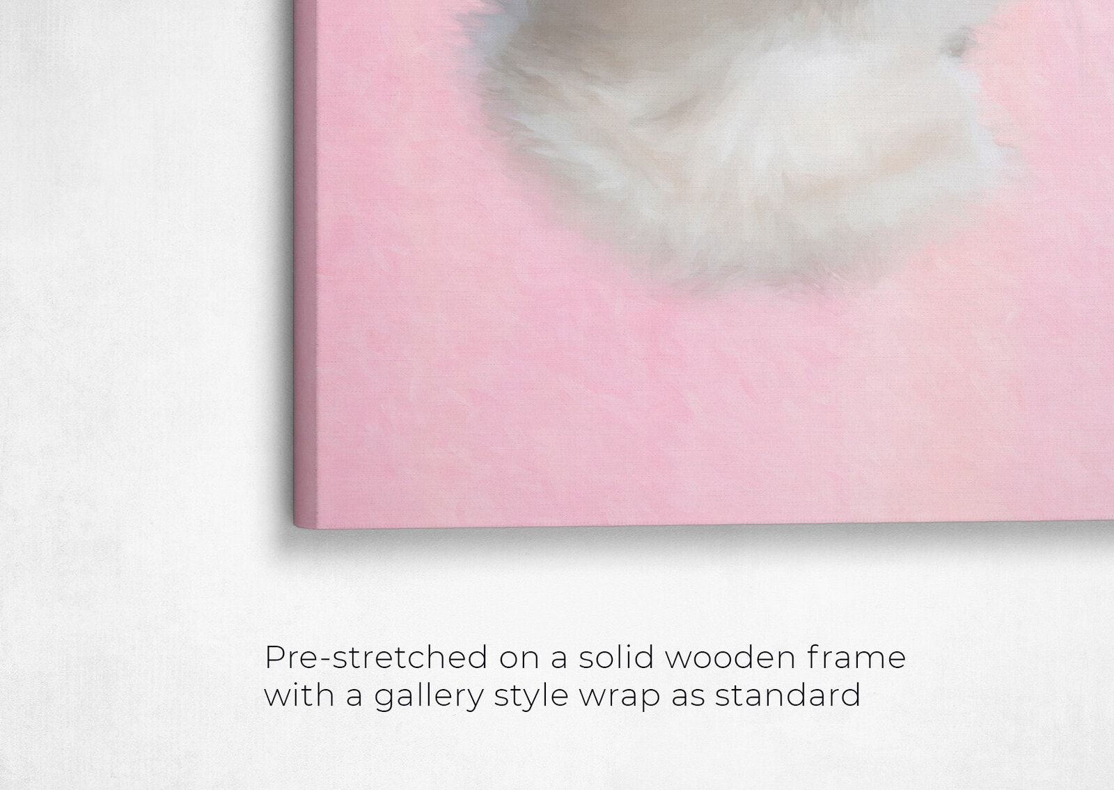 Classic Custom Cat Portrait - Pink pet portrait on canvas from photo 22 classic pet portraits cat pink studio painting front view angled close up wall