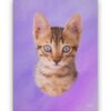 Classic Custom Cat Portrait - Purple pet portrait on canvas from photo 1 classic pet portraits cat purple studio painting front view white