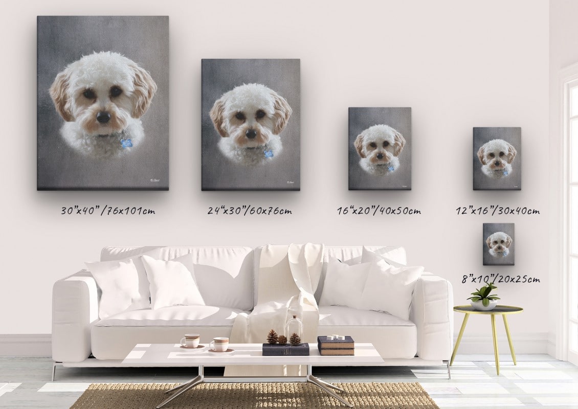 classic pet portraits dog grey studio painting canvas size comparison