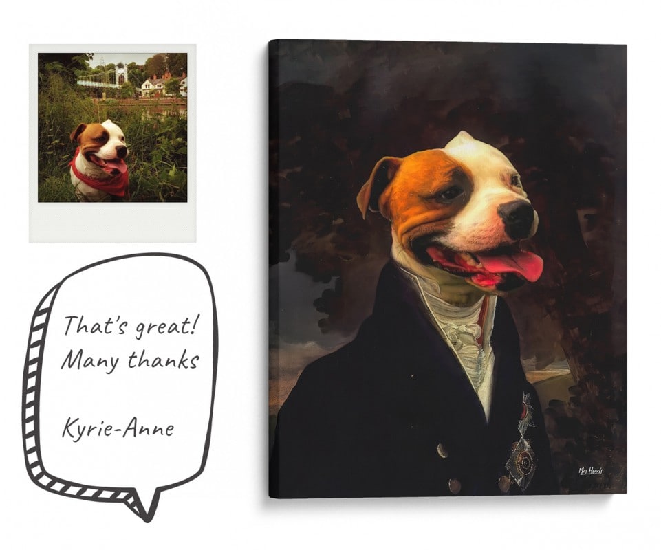 Reviews & In The Press 8 kyrie portrait