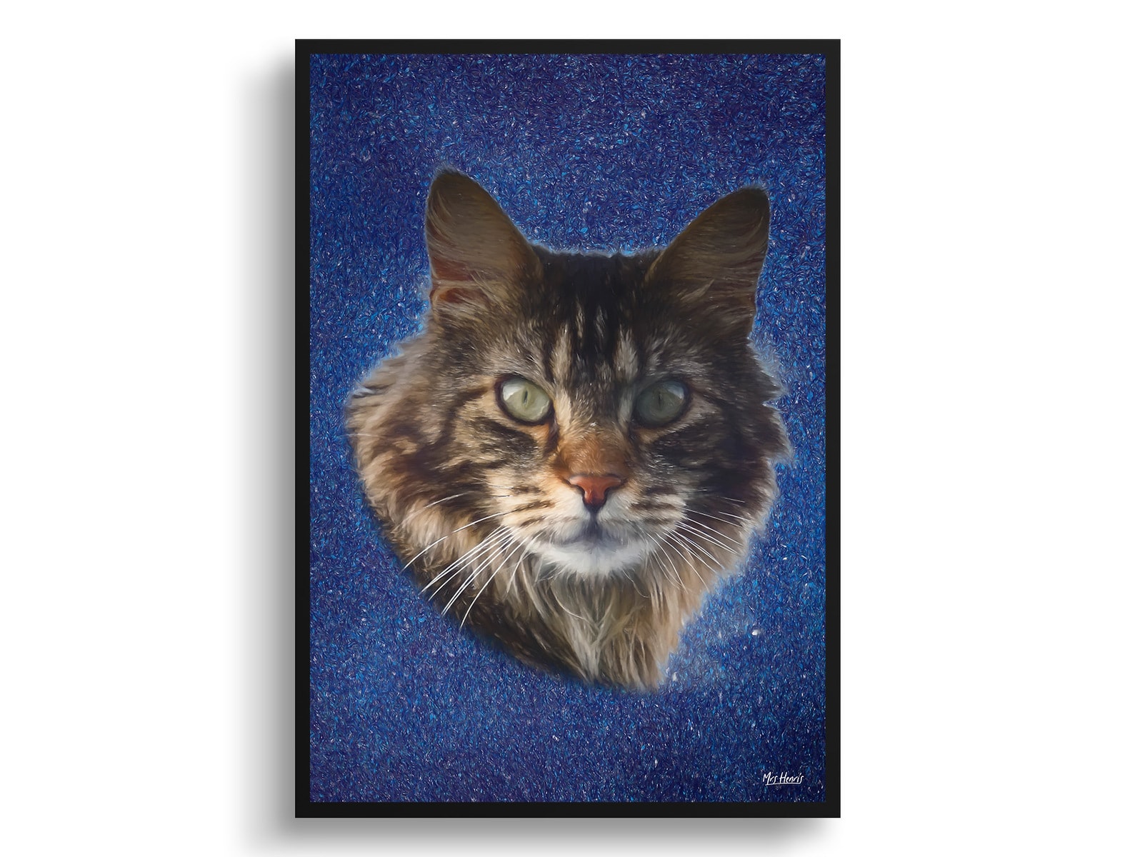 Night Sky Custom Classic Cat Portrait Painting - Framed & Un-framed Pet print from photo 3 Night Sky Custom Classic Cat Portrait Painting - Framed & Un-framed Pet print from photo