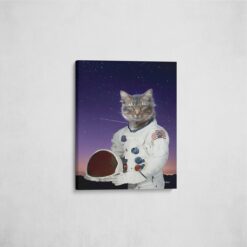 music icons astronaut cat front view angled wall