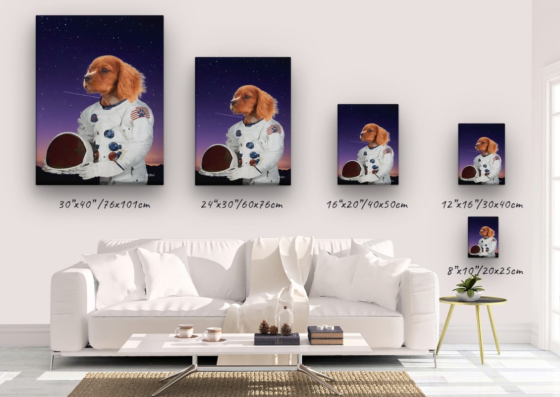 music icons astronaut dog canvas size comparison