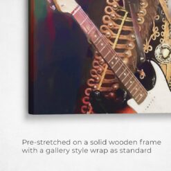 music icons hendrix cat front view angled close up wall