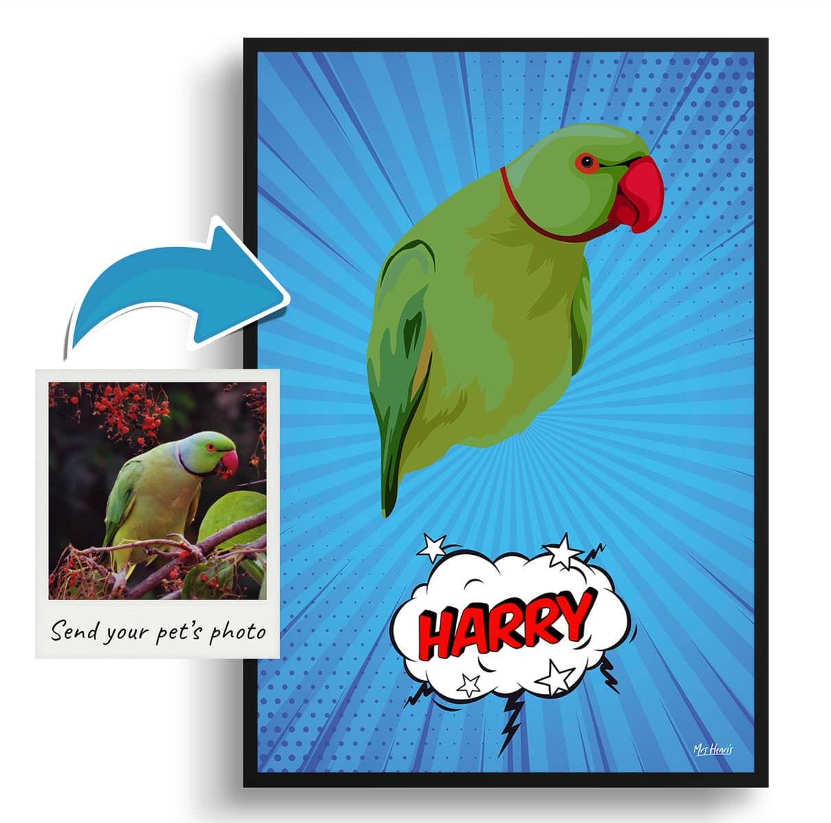 Blue blast Custom Pop Art Style Bird Portrait - Framed & Un-framed Pet illustration print from photo 3 Blue blast Custom Pop Art Style Bird Portrait - Framed & Un-framed Pet illustration print from photo - Image 2