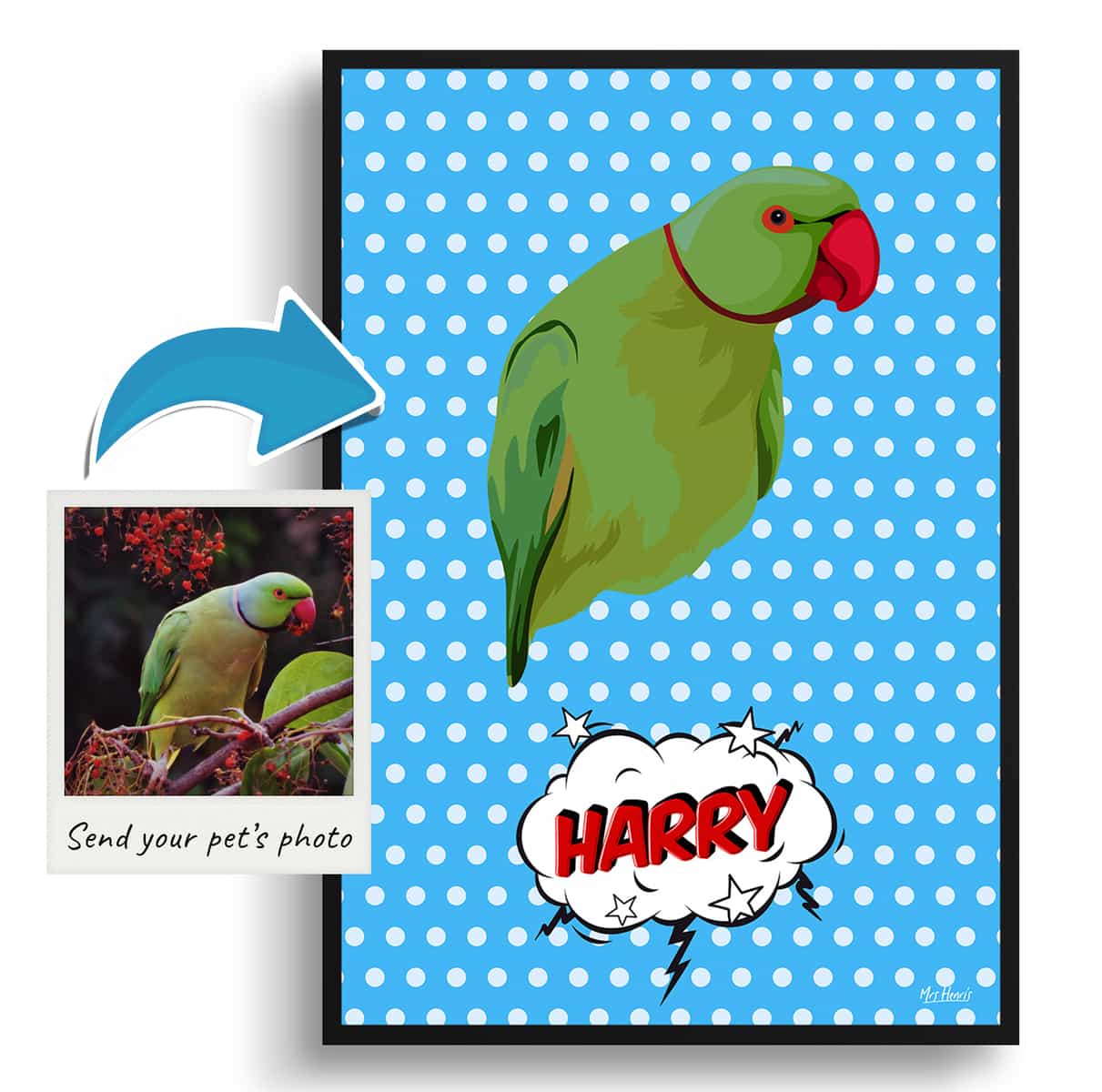 Blue dots Custom Pop Art Style Bird Portrait - Framed & Un-framed Pet illustration print from photo 4 Blue dots Custom Pop Art Style Bird Portrait - Framed & Un-framed Pet illustration print from photo - Image 2