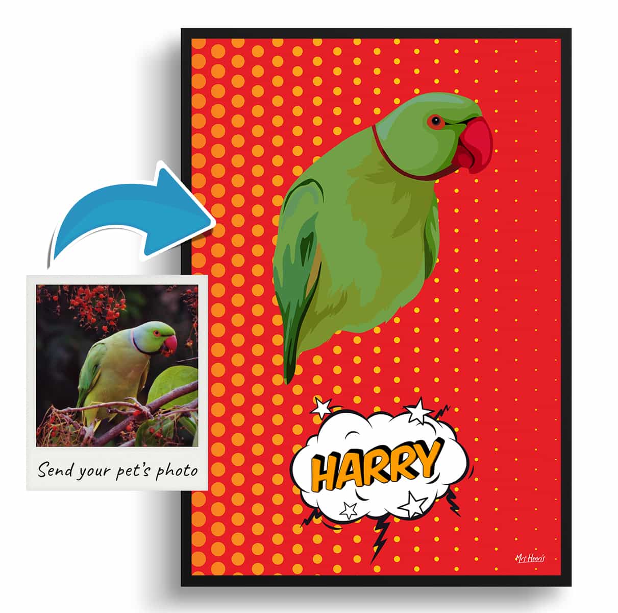 Dash Custom Pop Art Style Bird Portrait - Framed & Un-framed Pet illustration print from photo 4 Dash Custom Pop Art Style Bird Portrait - Framed & Un-framed Pet illustration print from photo - Image 2