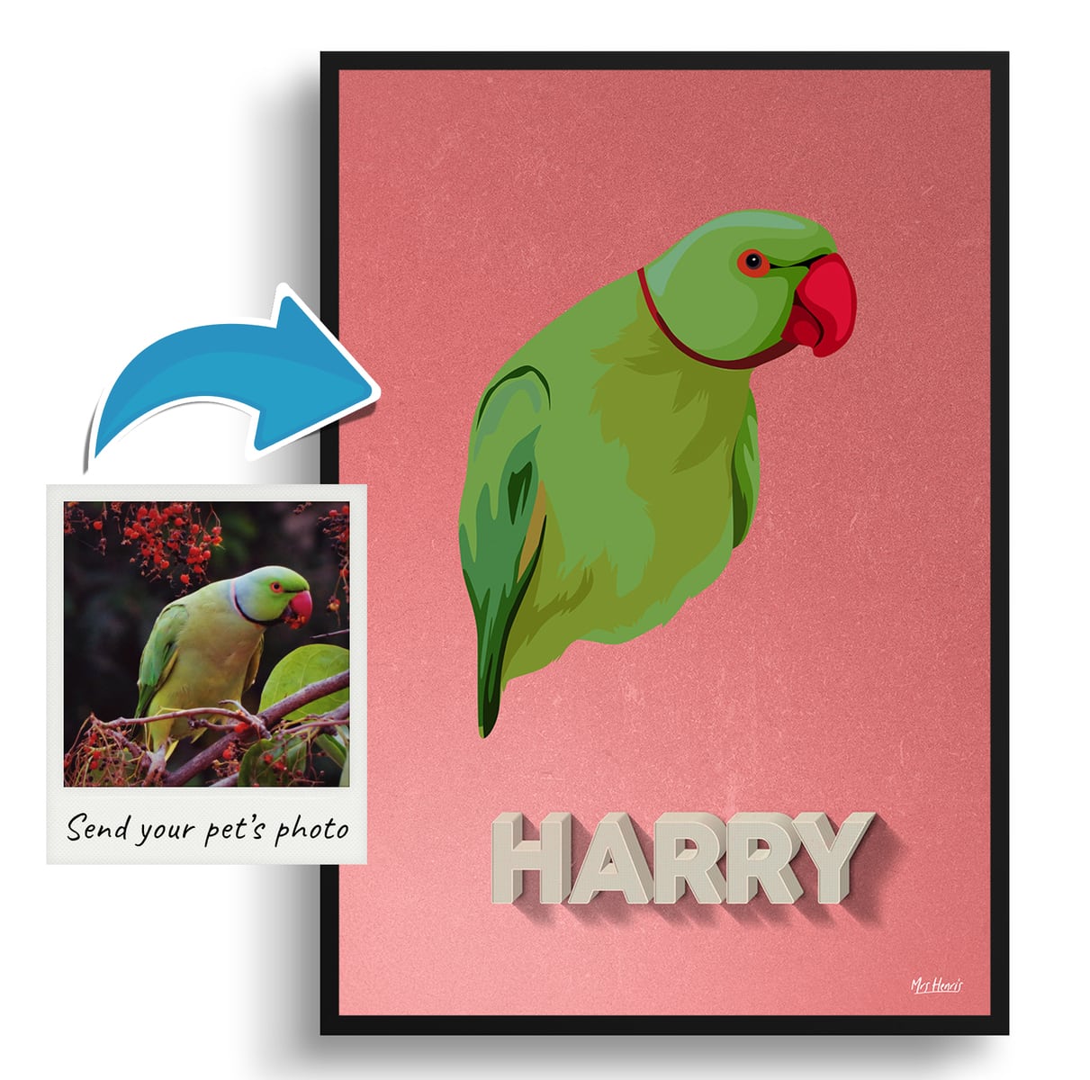 Decking Custom Mid Century Retro Bird Portrait - Framed & Un-framed Pet illustration print from photo 4 Decking Custom Mid Century Retro Bird Portrait - Framed & Un-framed Pet illustration print from photo - Image 2