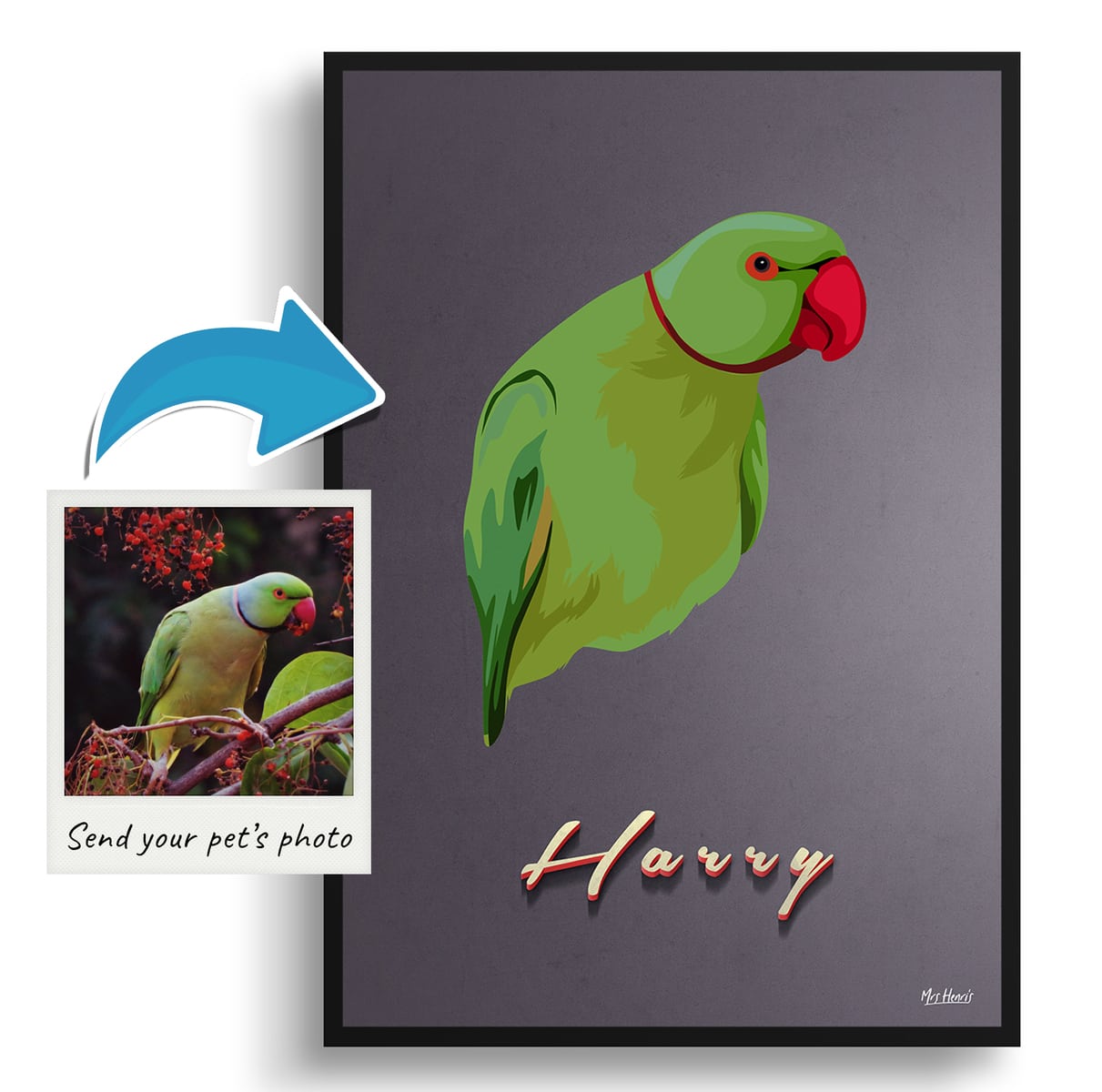 Night Script Custom Mid Century Retro Bird Portrait - Framed & Un-framed Pet illustration print from photo 4 Night Script Custom Mid Century Retro Bird Portrait - Framed & Un-framed Pet illustration print from photo - Image 2
