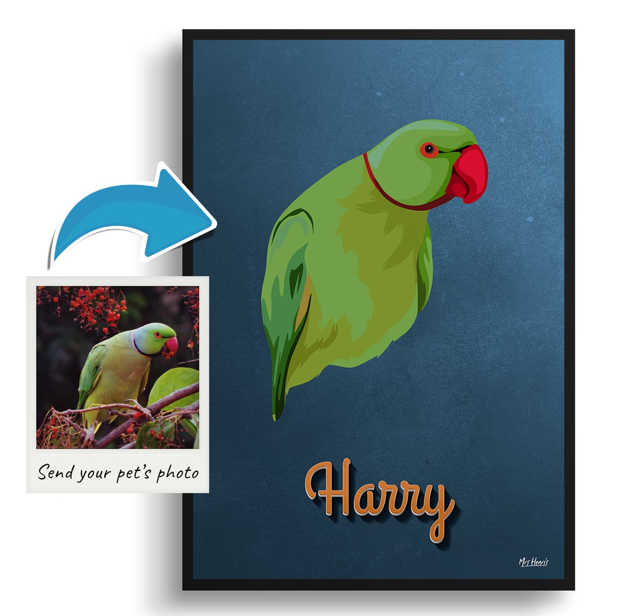 Rustic Blue Custom Mid Century Retro Bird Portrait - Framed & Un-framed Pet illustration print from photo 4 Rustic Blue Custom Mid Century Retro Bird Portrait - Framed & Un-framed Pet illustration print from photo - Image 2