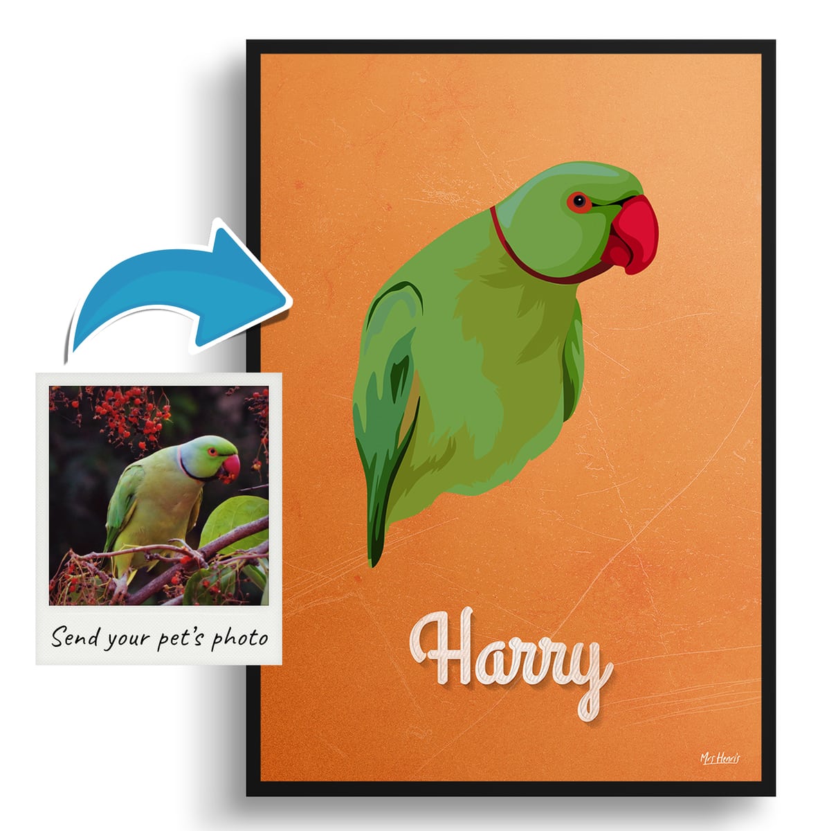 Sand And Stone Custom Mid Century Retro Bird Portrait - Framed & Un-framed Pet illustration print from photo 4 Sand And Stone Custom Mid Century Retro Bird Portrait - Framed & Un-framed Pet illustration print from photo - Image 2