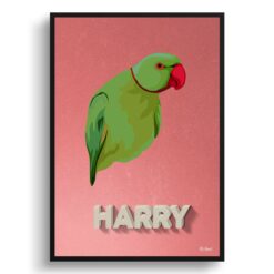 Decking Custom Mid Century Retro Bird Portrait -  Framed & Un-framed Pet illustration print from photo