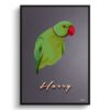 Night Script Custom Mid Century Retro Bird Portrait - Framed & Un-framed Pet illustration print from photo 2 retro pet portraits bird night script print front view white