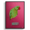 Vintage Teal Custom Mid Century Retro Bird Portrait - Framed & Un-framed Pet illustration print from photo 1 retro pet portraits bird vintage teal print front view white