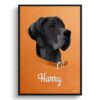 retro pet portraits dog sand and stone print front view white