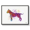 American Staffordshire Terrier Watercolour Splash Print - Dog Inspired Framed & Unframed Wall Art 1 watercolour splash dogs american staffordshire terrier framed art print front view white